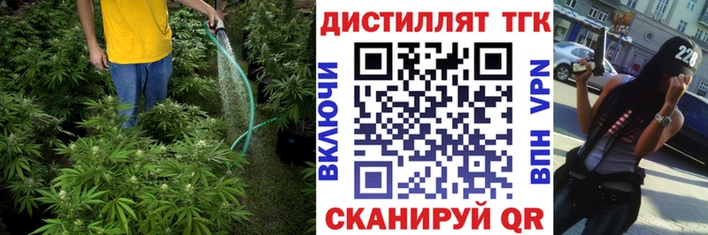хочу   Курлово  ТГК Wax 