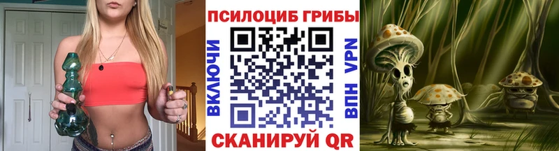 наркошоп  ОМГ ОМГ tor  Галлюциногенные грибы Psilocybe  Курлово 